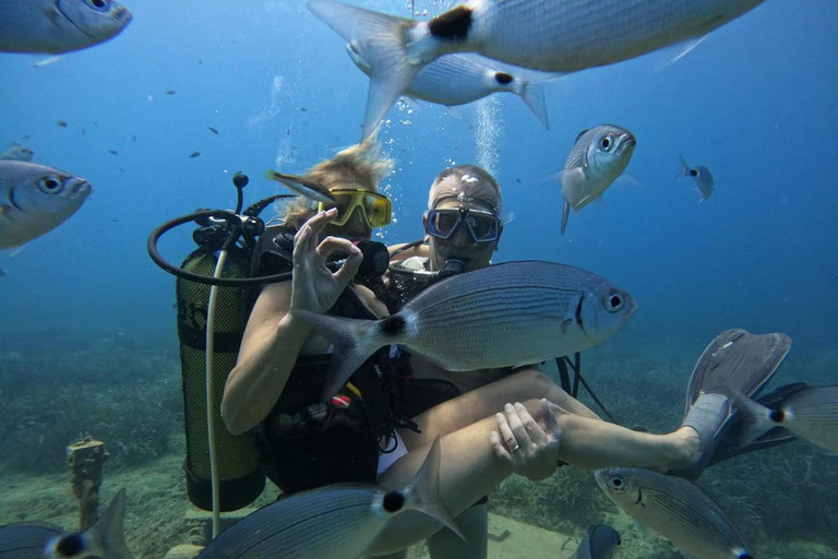 Side: Underwater Museum Scuba Diving Tour with Expert Diving Museum Scuba Diving Tour with Hotel Transfer
