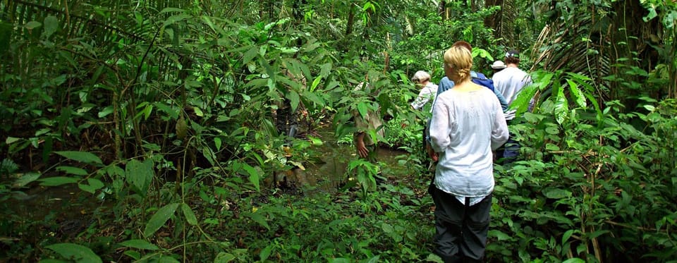 Desde Cusco | Excursión a la Selva del Manu 7D/6N | Maravillas del Manu ...