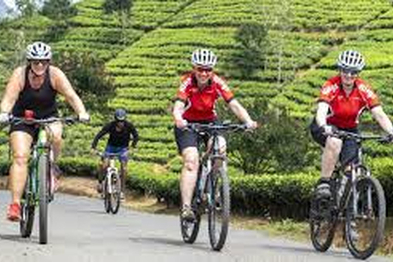 Bicycle Adventure-Bandarawela to Punagala & Tea Factory Tour