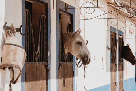 Desde Albufeira: Excursión de medio día a caballo y joyas ocultas