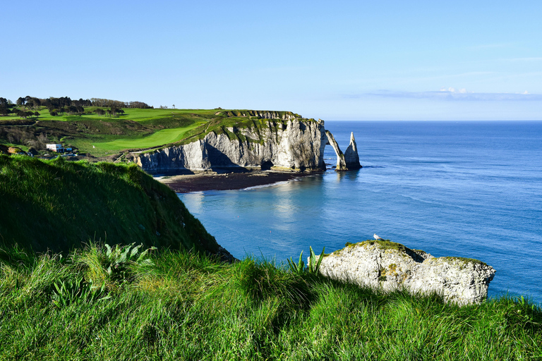 Paris: Normandy D-Day, Omaha Beach & American Cemetery Paris: Normandy D-Day Round-Trip Experience