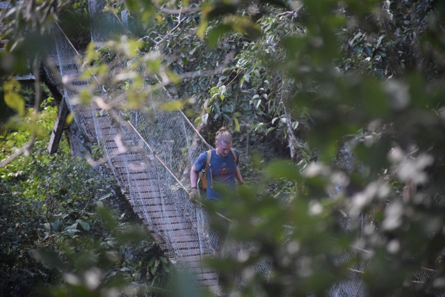 Visit Canopy walk and monkey island in Puerto Maldonado