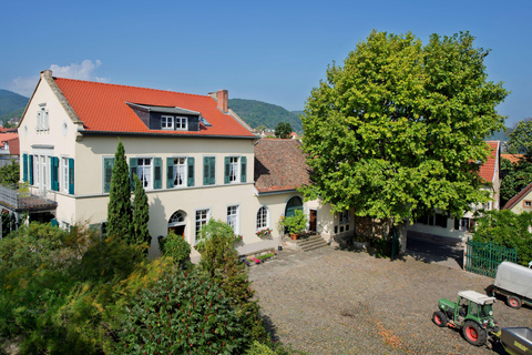 Weinsond med Kellerführung och Weinbergsbesichtigung