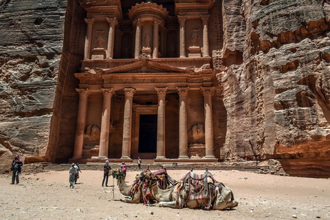 Sharm El-Sheij Excursión de un día al Templo de Petra con almuerzo