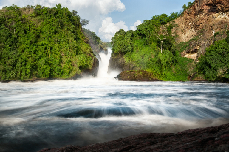 10 jours de visite en Ouganda et safari primates