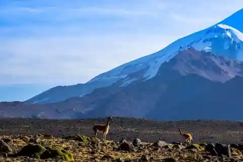 Da Puno || Tour di 2 giorni del Canyon del Colca che termina ad Arequipa ||
