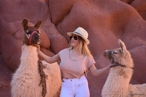 Purmamarca: Hiking with Llamas through multicolored mountains