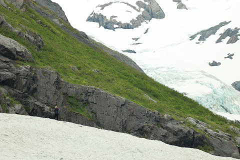 Seward to Anchorage Scenic Tour with Airport drop-off