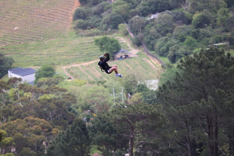 Cape Town: Zipline Adventures (Hotel Pickup &amp; Dropoff incl.)