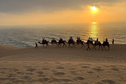 Agadir: Quad Biking , Sandboarding & Canyon Tour