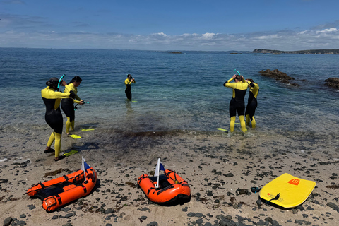 Auckland: Guided Snorkeling Tour and Island Exploration