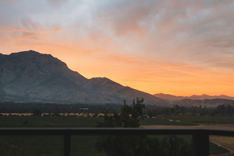 Santiago: El Principal Premium Winery in the Maipo Valley