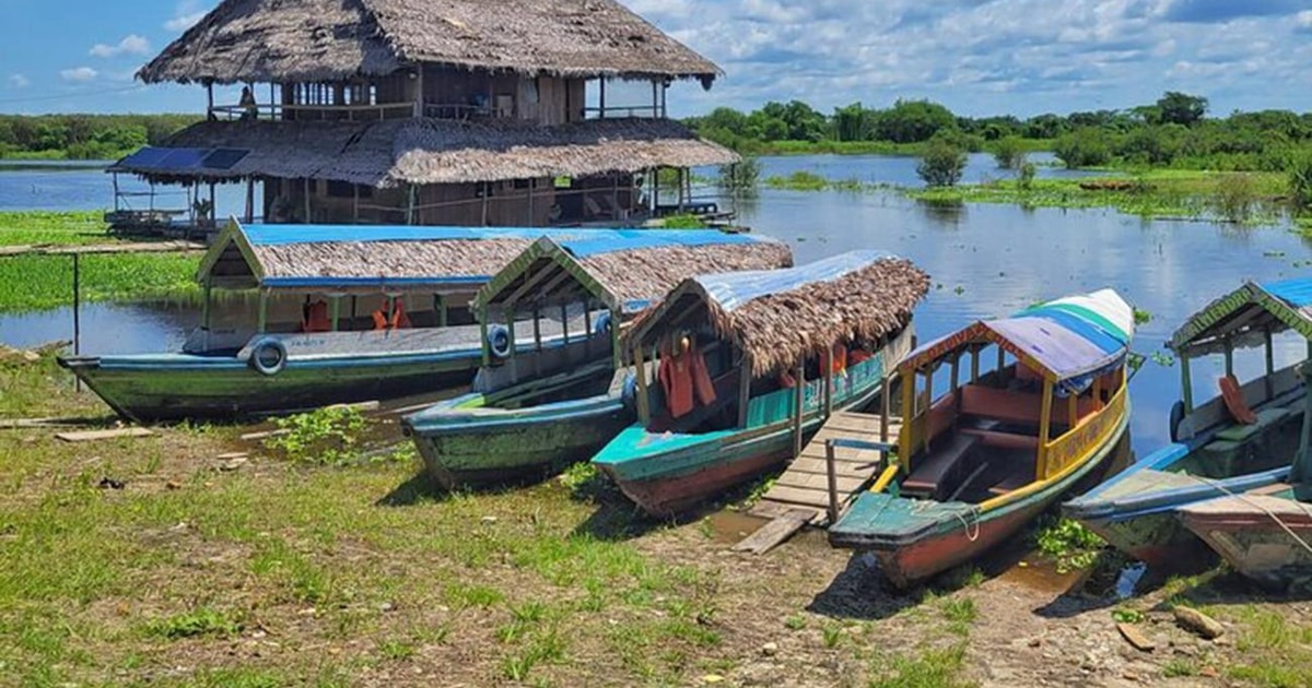 Private Tour in Belen Market, Floating City and Amazon River | GetYourGuide