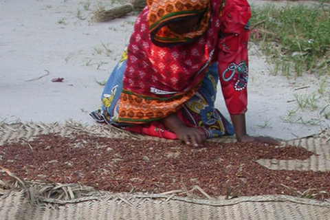 Wyspa Pemba: wycieczka z przewodnikiem po wiosce Mjini Ole z lunchemWyspa Pemba: wycieczka z przewodnikiem po wiosce Mjini Ole z obiadem