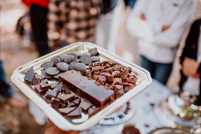 Bariloche: Chocolate Tasting, Exotic & Regional Flavors