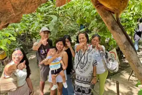 From Cebu City: Bohol Countryside Tour w/ Loboc Cruise Lunch
