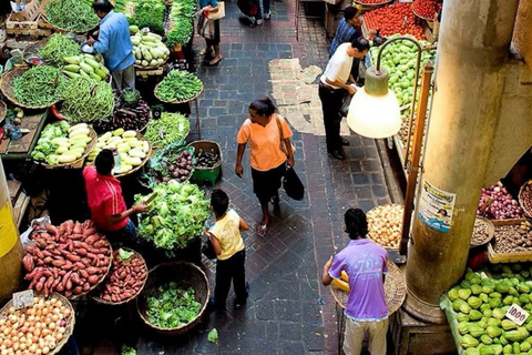 Mauritius: North Highlights Tour with Guide & Transfers
