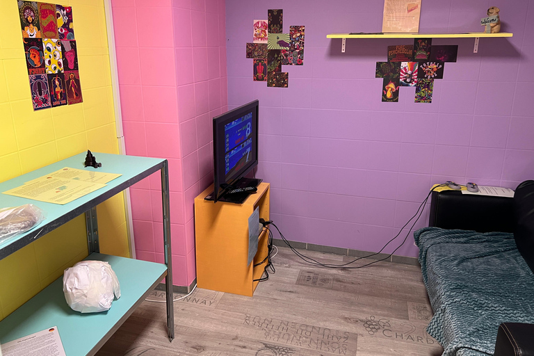 The Museum of Pain and Love: Ticket for a visit The Museum of Pain and Love: ticket for a visit