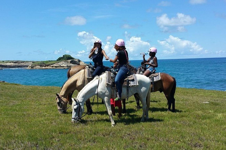 St. Lucia: Abenteuer Reiten