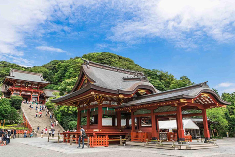 Tokyo: City Full-Day Private Customizable Best Places Tour