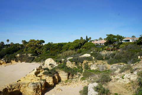 Albufeira Coastline Hiking - Small Group Albufeira Coastline Hiking Small Group