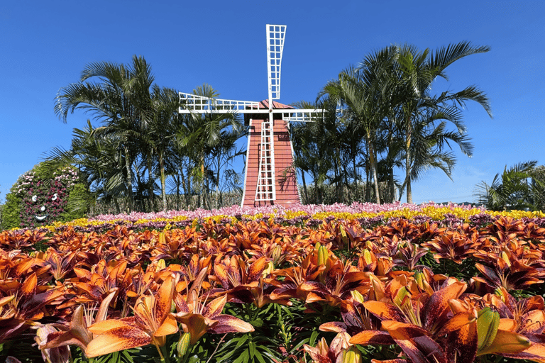 From Taipei: Taichung Must-Visit Day Tour Join-in Tour