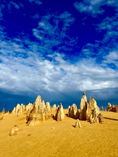 pinnacles desert day tour