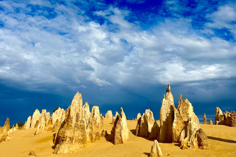 Excursion d&#039;une journée dans le désert des Pinnacles