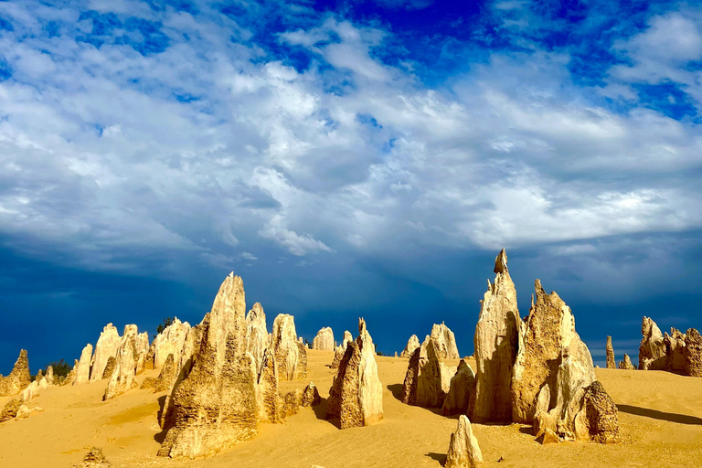 Excursion d&#039;une journée dans le désert des Pinnacles