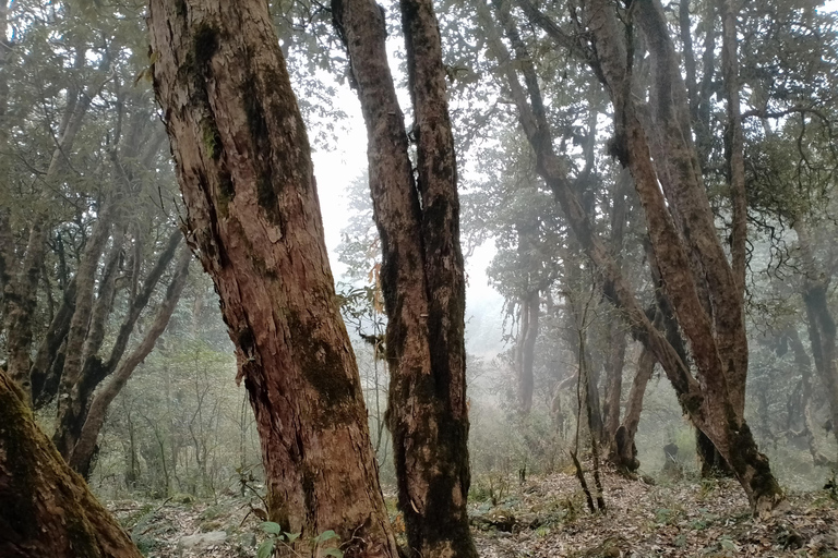 Pokhara: Mulde Viewpoint and Pode Kharkha Hidden Lake Trek