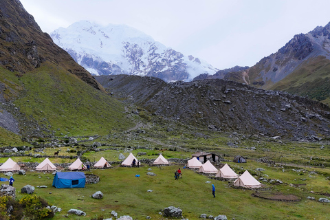 Cusco: 4-dagars Salkantay Trek till Machu Picchu, Panoramic Train