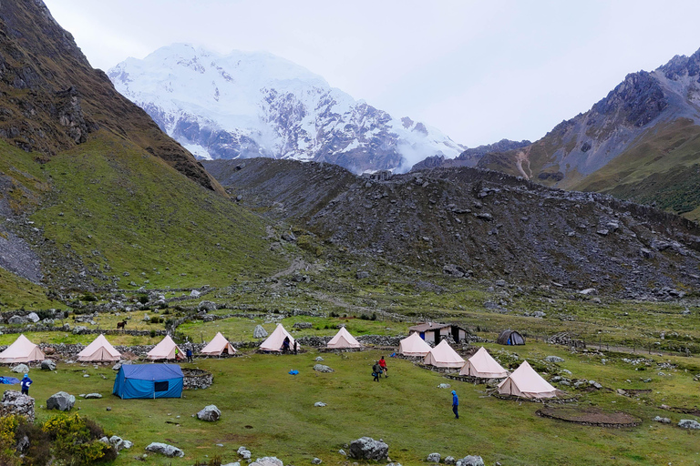 Cusco: 4-dagars Salkantay Trek till Machu Picchu, Panoramic Train