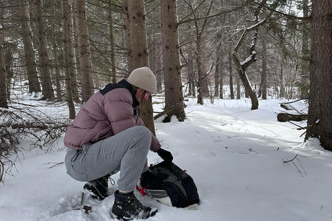 Camping d&#039;hiver de 2 jours avec aurores boréales en camping-car