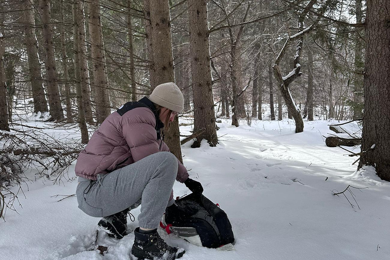 2-tägige Winter-Camping mit Nordlichtern Wohnmobil Tour