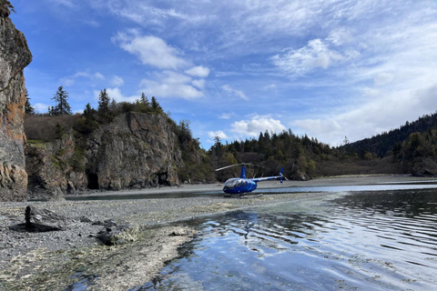Seward : Tour en hélicoptère de l'océan et des icebergs avec 2 atterrissages