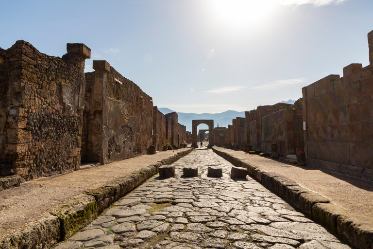 Pompeii: New Discoveries & Ancient Wonders Tour with Ticket Semi-Private Group max 8 people