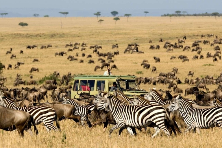 5-dniowe safari Samburu - jezioro Nakuru - Masajowie - magiczna Afryka