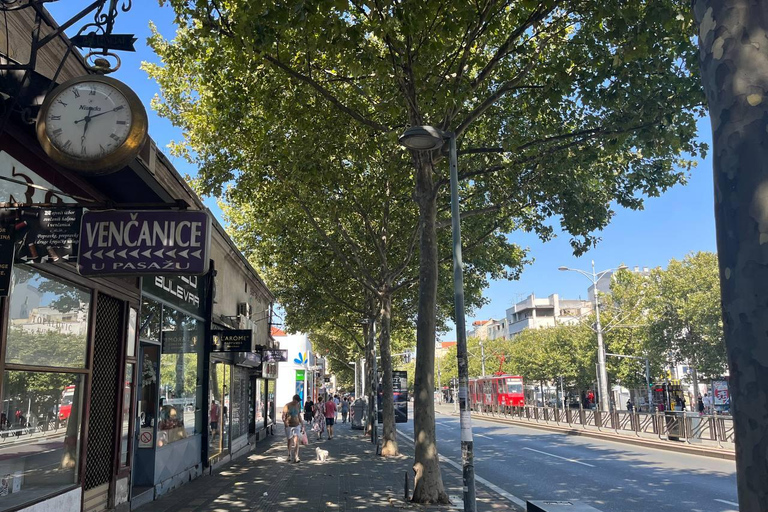 Belgrade: King Alexander Boulevard Guided Walking Tour