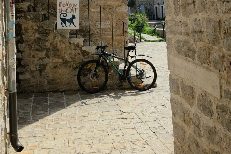 Budva: Guided Walking Tour with Old Town & Citadel