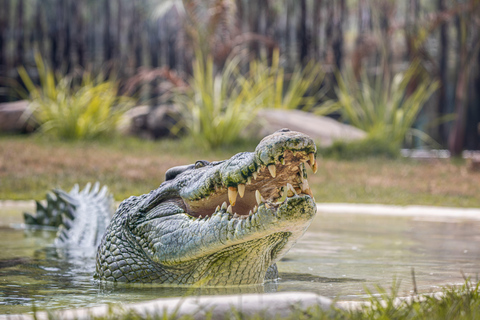 Sydney: Sydney Zoo Admission Ticket