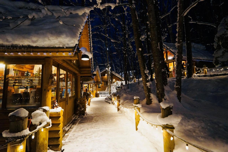 Asahiyama Zoo, Biei, and Ningle Terrace Night View Tour