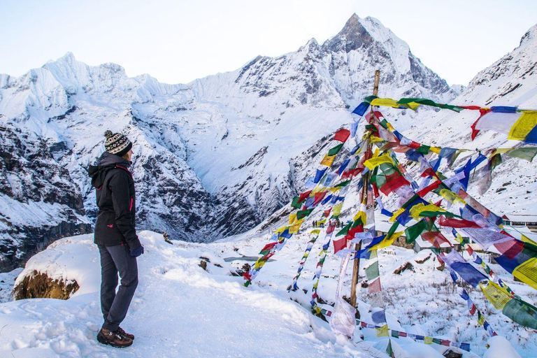 Pokhara: 7 Days Annapurna Basecamp Trek