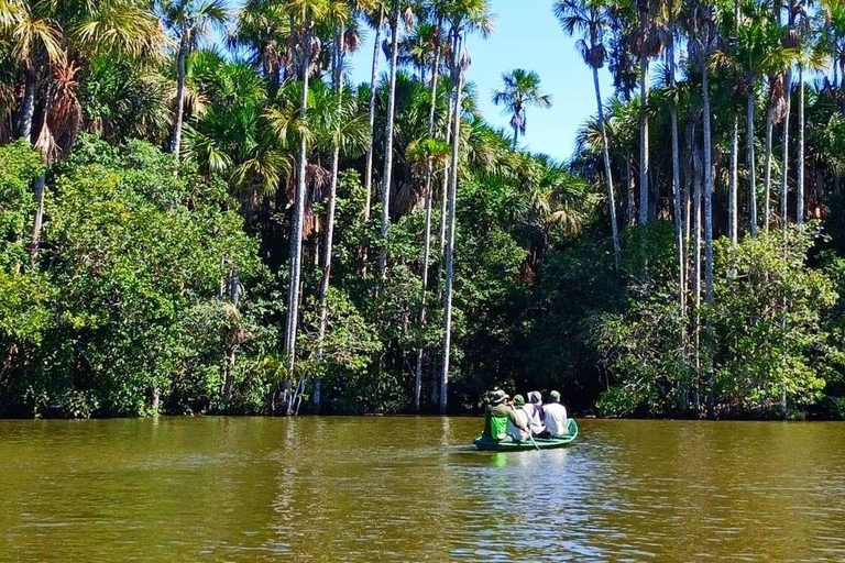 Excursión a Tambopata con Ceremonia de Ayahuasca 4 Días