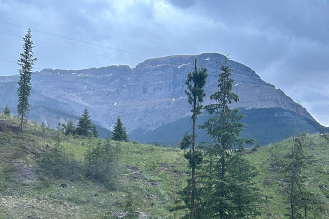 Przygoda na lodowcu Icefields Parkway + Columbia Skywalk
