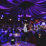 Vienna: cena con spettacolo Johann Strauss al Prater