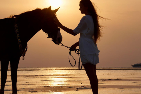 Baía de Makadi: Passeio a cavalo no deserto e no mar com guia + transferênciasBaía de Makadi: Passeio a cavalo no deserto e no mar com guia + transporte