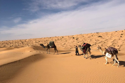 Dois dias e uma noite num acampamento, Ksar Ghilane a partir de Djerba