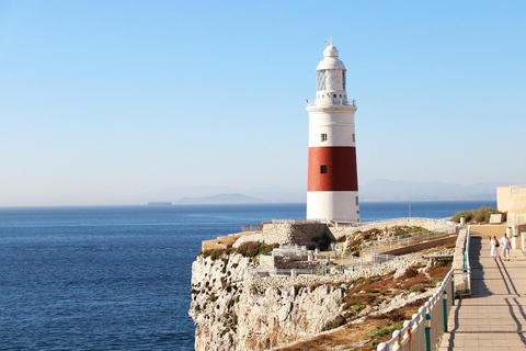 De Sevilha: Viagem de 1 dia com guia a Gibraltar