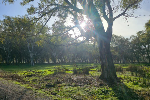 North of Africa: Bizerte, Cap Angela and Ichkeul Day Trip From Sousse/Monastir : North of Africa Tour Pick Up Included