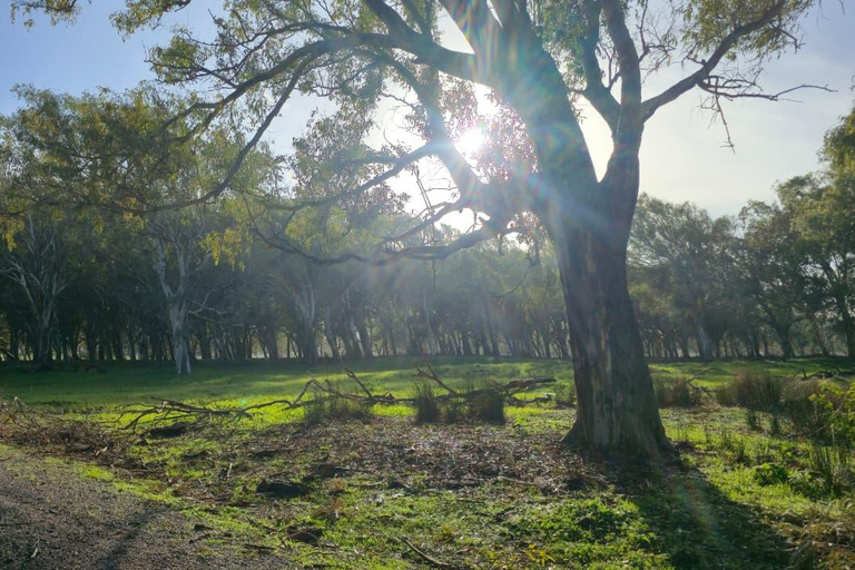 North of Africa: Bizerte, Cap Angela and Ichkeul Day Trip From Sousse/Monastir : North of Africa Tour Pick Up Included